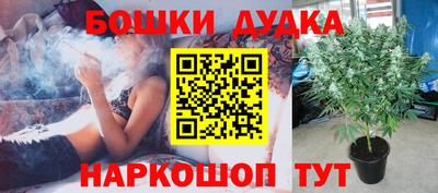 ПСИЛОЦИБИНОВЫЕ ГРИБЫ Нальчик