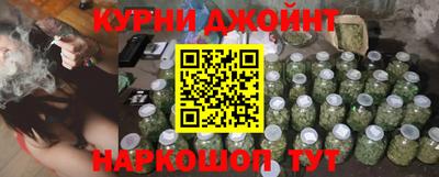 индика Новозыбков