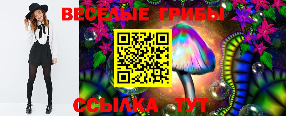 Тосно  Галлюциногенные грибы мицелий  Вход с VPN 
