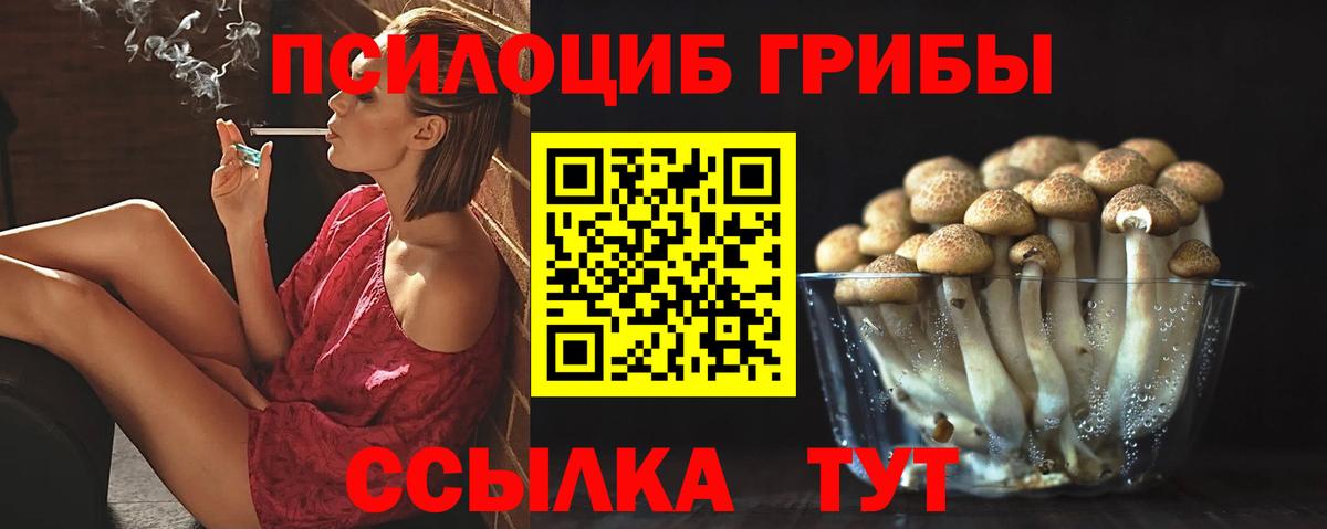 Галлюциногенные грибы прущие грибы Тосно
